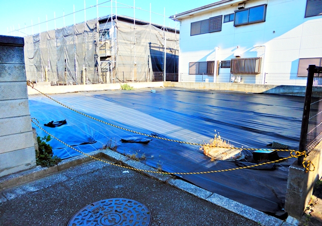 ���n�y�n�ʐ^ -