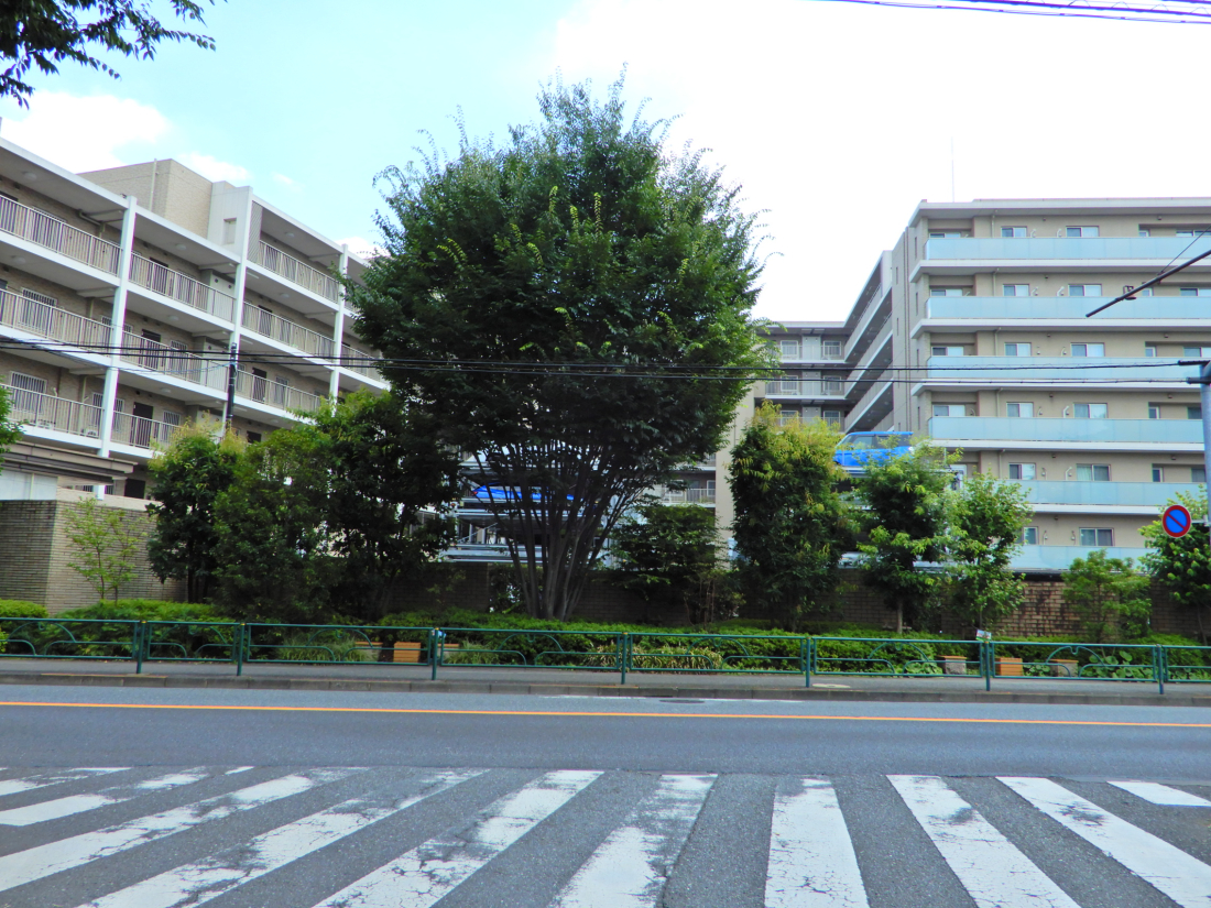 ���n�O�ώʐ^ -