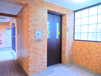 ���̑����p�� -