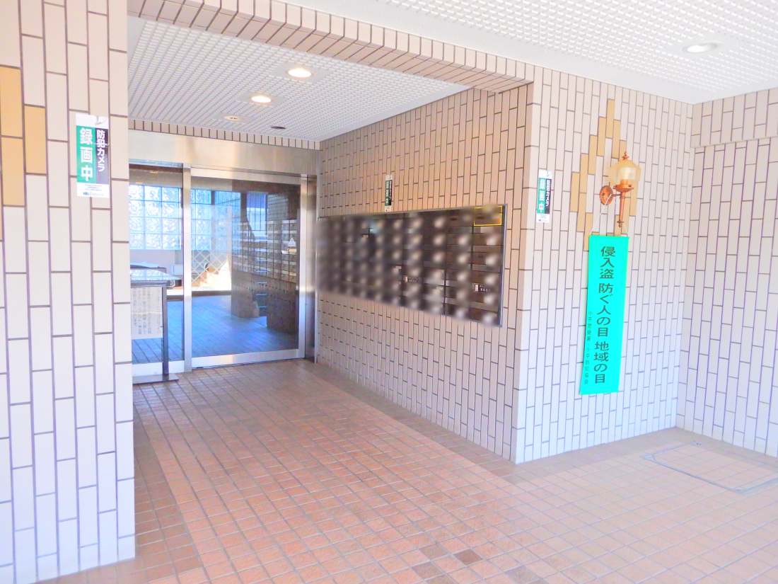 ���̑����p�� -