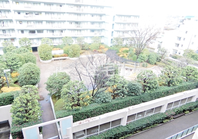 ���̑����n -