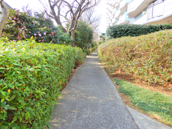 ���̑����n -