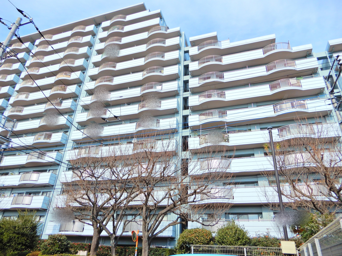 ���n�O�ώʐ^ -