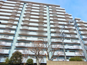 ���n�O�ώʐ^ -